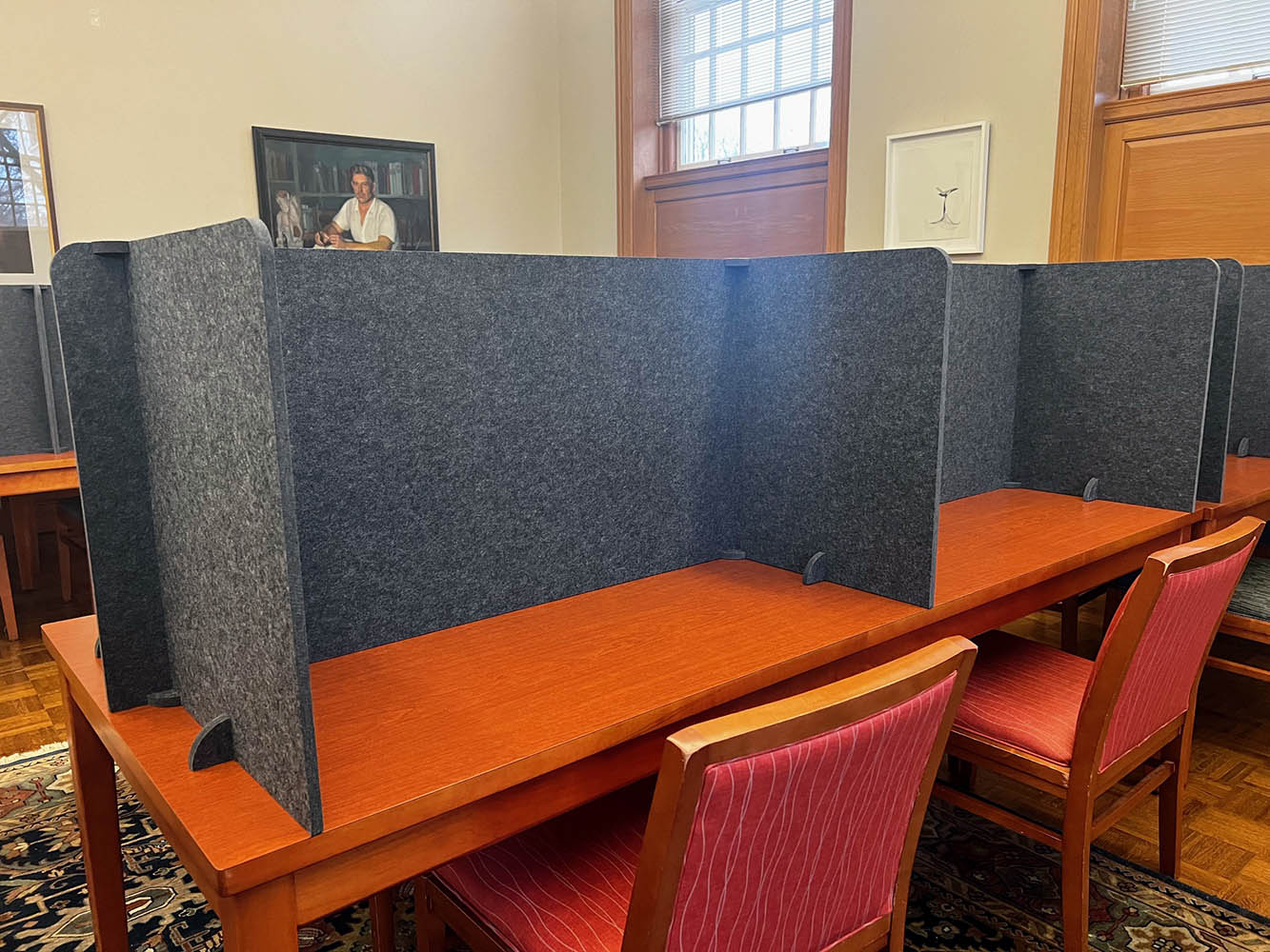 Acoustic Panels 1
