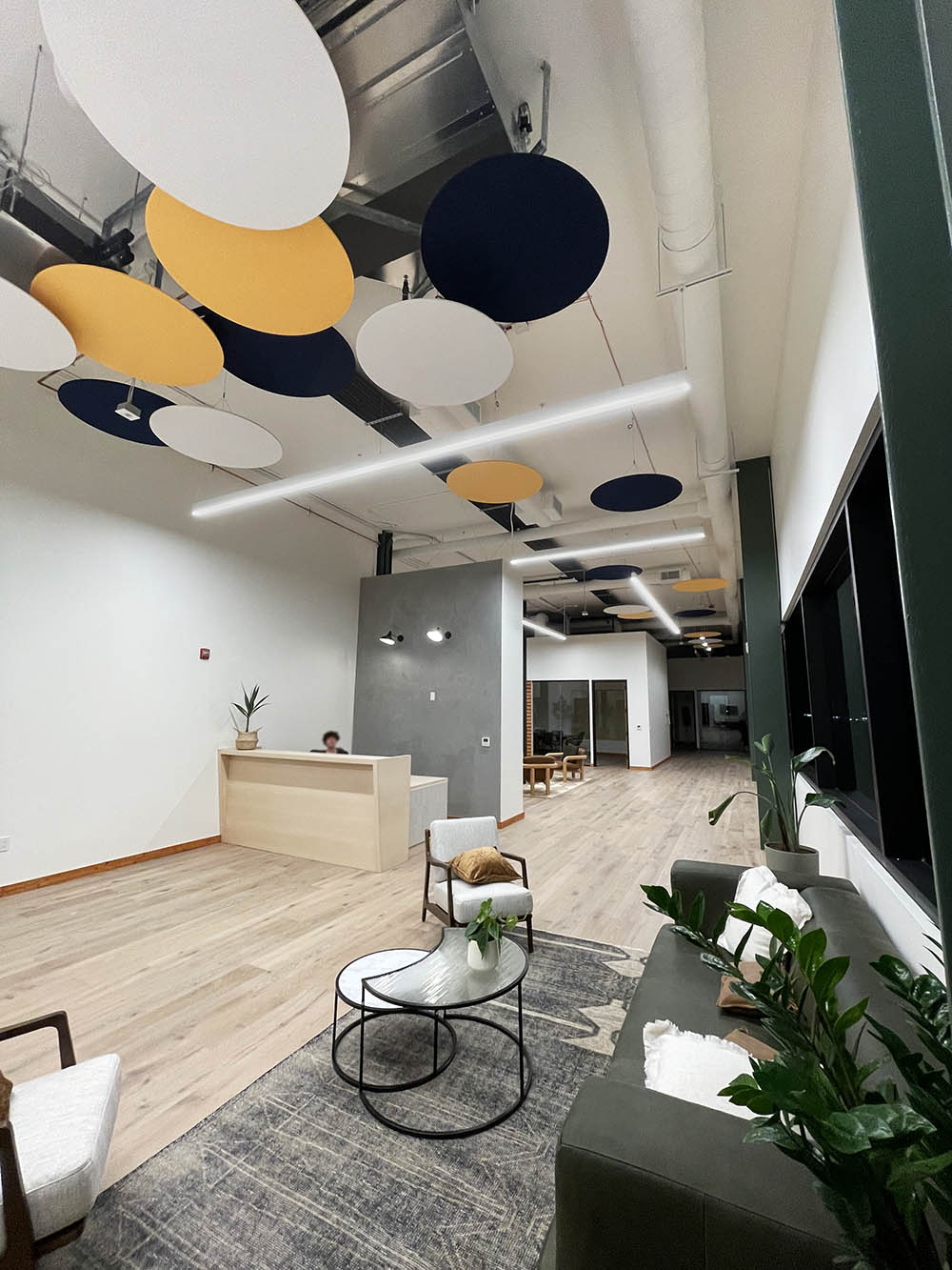 esc ceiling panels-2