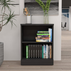 Sol Series 2 Shelf Bookshelf 24x30 Scene